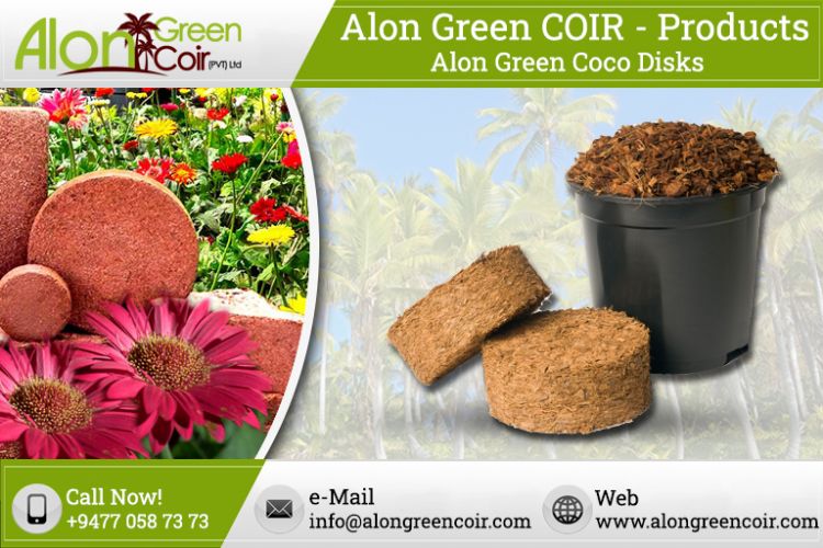 Alon Green Coco Disk